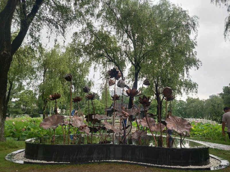 南京莫愁湖公園荷花 南京莫愁湖公園荷花